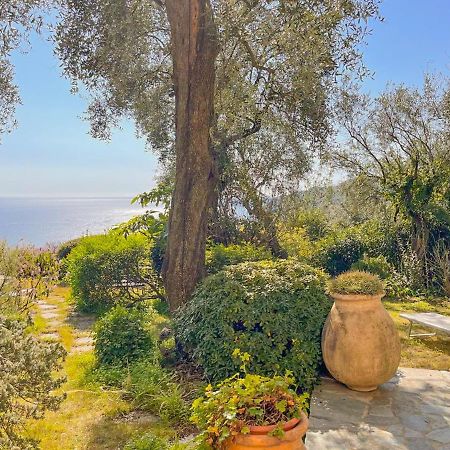 Willa L'Uliveto Di Santa Con Piscina Santa Margherita Ligure Zewnętrze zdjęcie